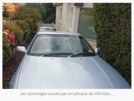 antoine giard